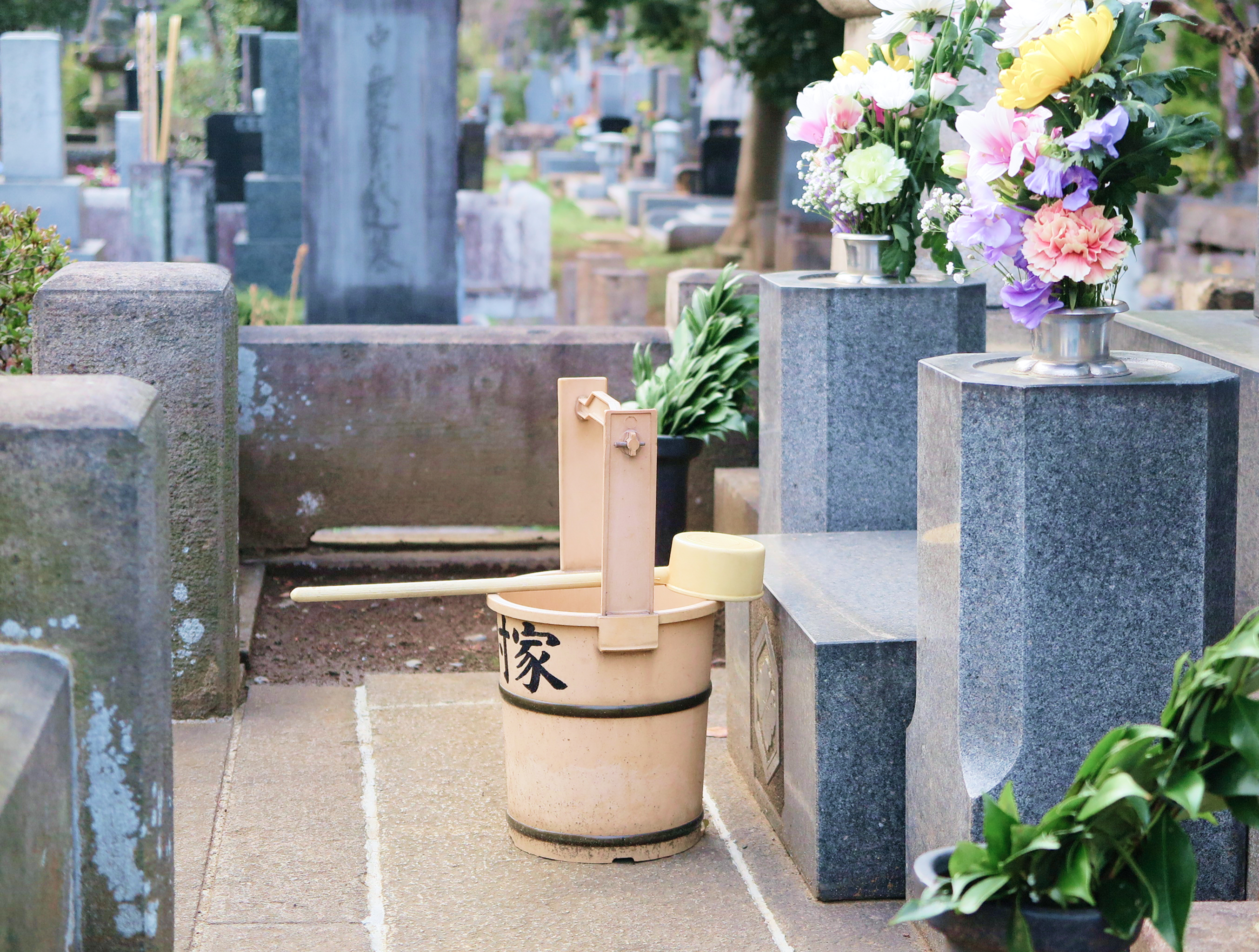 緑に囲まれた墓地で手を合わせるご夫婦